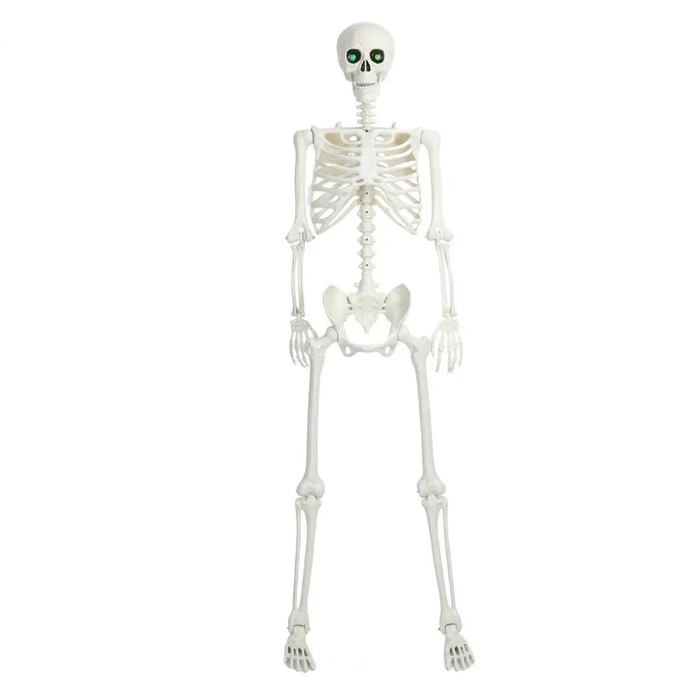 5.4FT Life-Size Light-Up Skeleton Decoration - with Movable Joints and Glowing Eyes