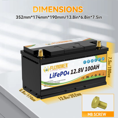 12V 100Ah LiFePo4 Lithium Battery Pack 100A BMS