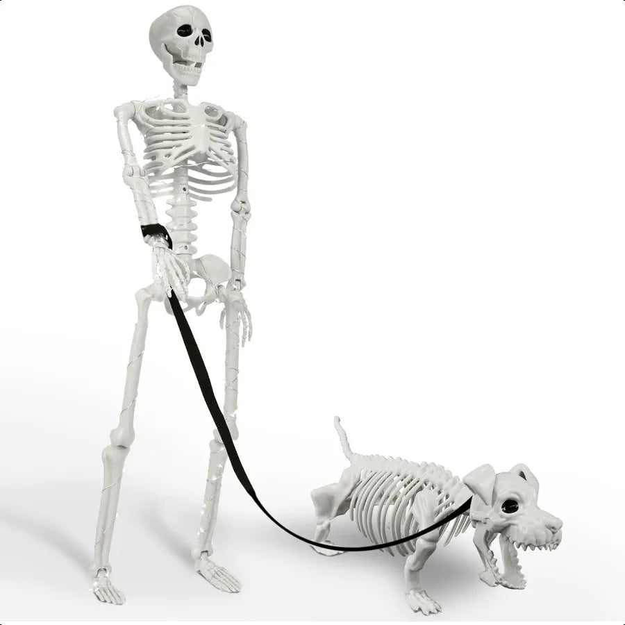 Lighted Human Dog Skeleton 36 Inch Realistic Full Body Posable Skeleton