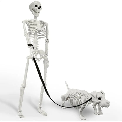 Lighted Human Dog Skeleton 36 Inch Realistic Full Body Posable Skeleton