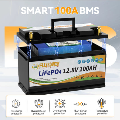 12V 100Ah LiFePo4 Lithium Battery Pack 100A BMS
