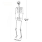 5.4FT Life-Size Light-Up Skeleton Decoration - with Movable Joints and Glowing Eyes