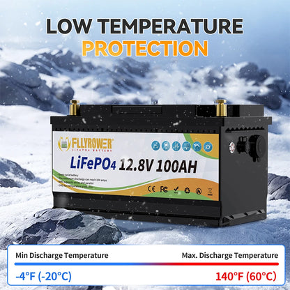 12V 100Ah LiFePo4 Lithium Battery Pack 100A BMS