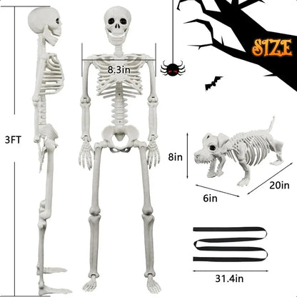 Lighted Human Dog Skeleton 36 Inch Realistic Full Body Posable Skeleton