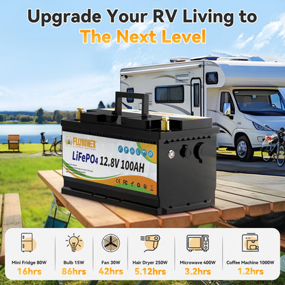 12V 100Ah LiFePo4 Lithium Battery Pack 100A BMS