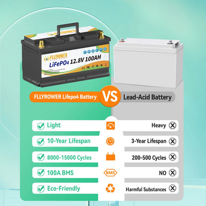 12V 100Ah LiFePo4 Lithium Battery Pack 100A BMS