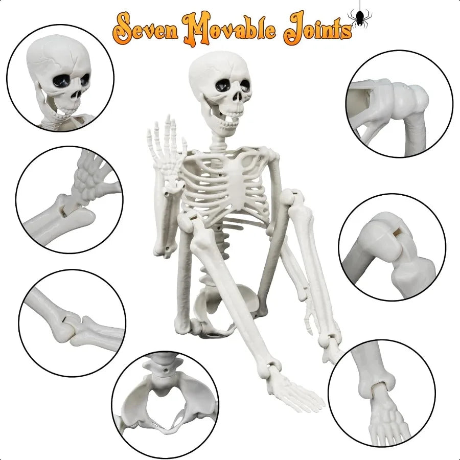 Lighted Human Dog Skeleton 36 Inch Realistic Full Body Posable Skeleton